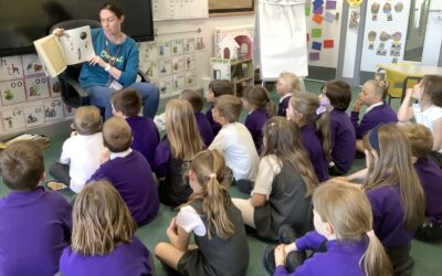 Mystery Reader