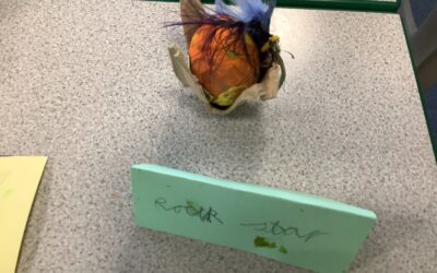 2S Easter Egg Entries