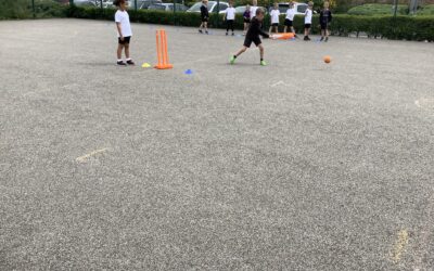 Sports Week – Cricket