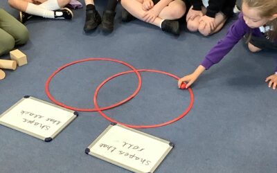 Sorting and Comparing 3D Shapes