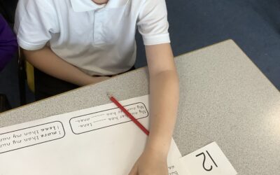 Investigating numbers