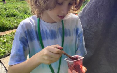 Fun in Forest School