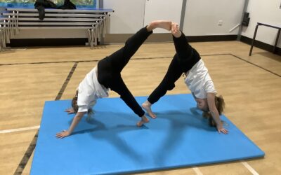2S Gymnasts