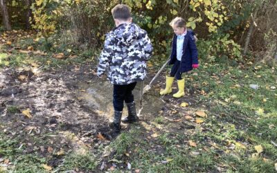 Forest School