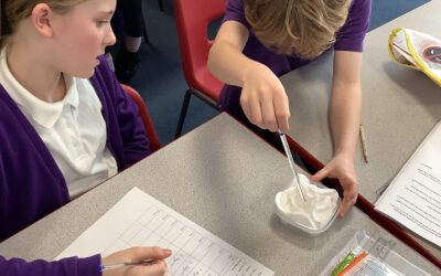 Which materials is the best thermal insulator?