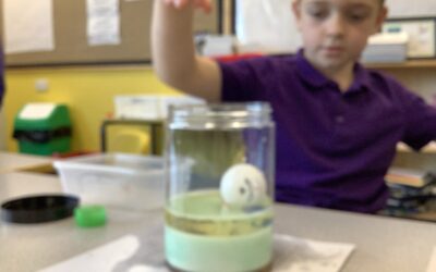 STEM Recycling Challenge