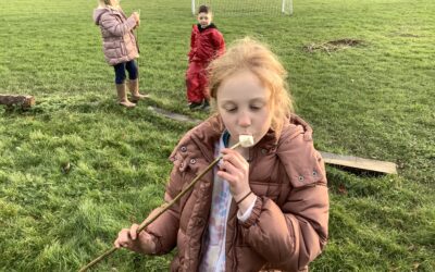 How to toast the perfect marshmallow (3M Forest)