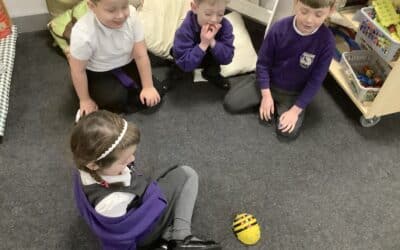 Exploring Beebots
