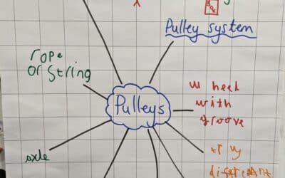DT in Year 3 – Pulleys!