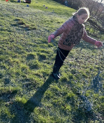 Forest Fun