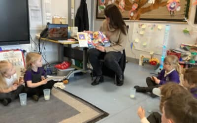 Mystery Reader