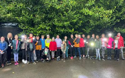 What a photo!  Off for their evening activity!