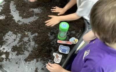 Phonics minibeasts