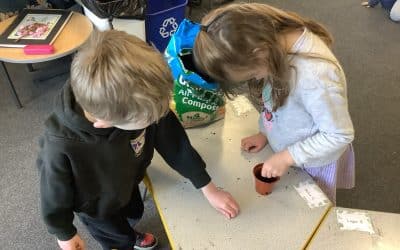 Planting seeds