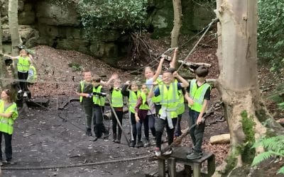 Low Ropes at Gibside