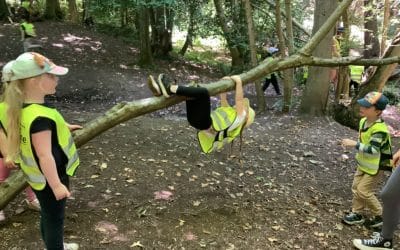Big forest school at Gibside