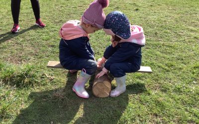 Forest School: Making a Teeter Totter