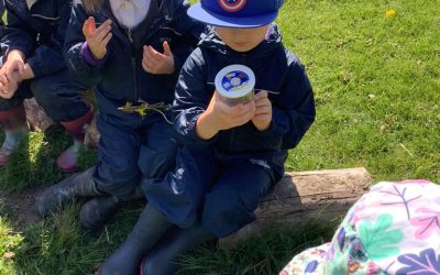 Nursery has some new friends…