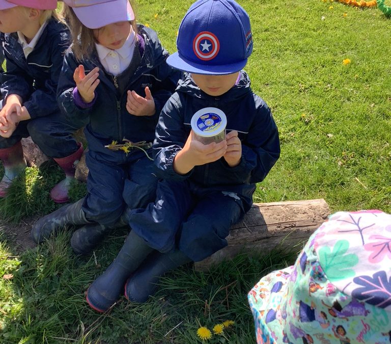 Nursery has some new friends…
