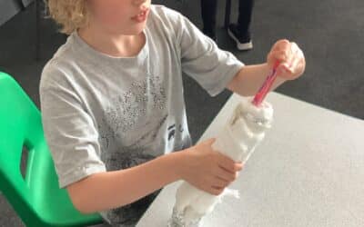 How can I stop an ice lolly from melting?