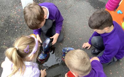Science Investigations
