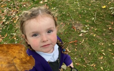 An Autumn Walk