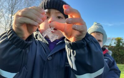 Forest School