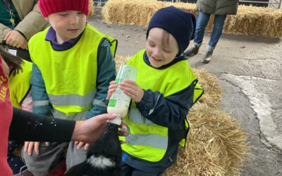 Farm visit