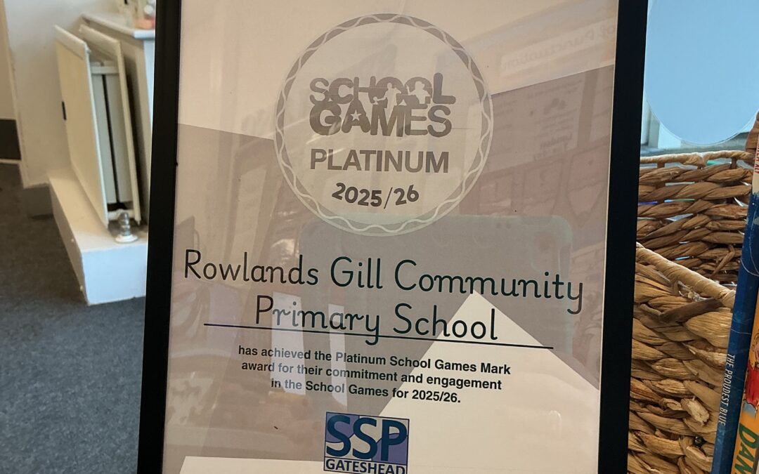 Platinum School Games Mark