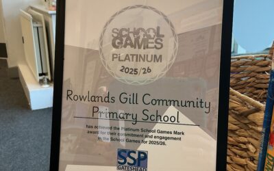 Platinum School Games Mark