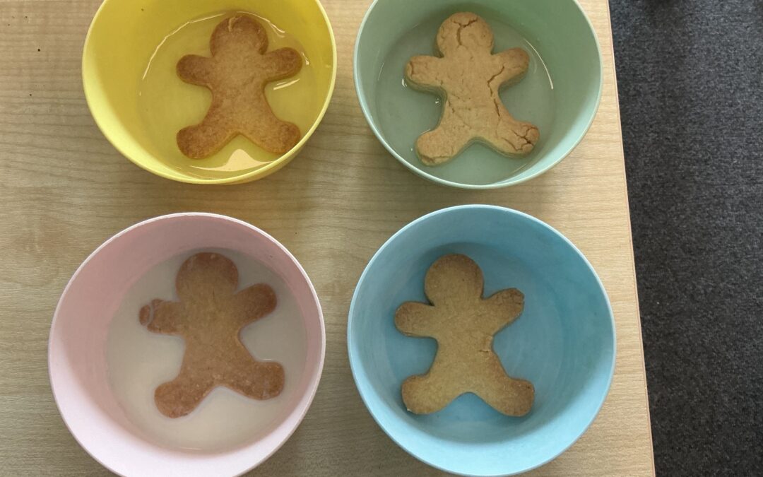 What will happen to The Gingerbread Man?
