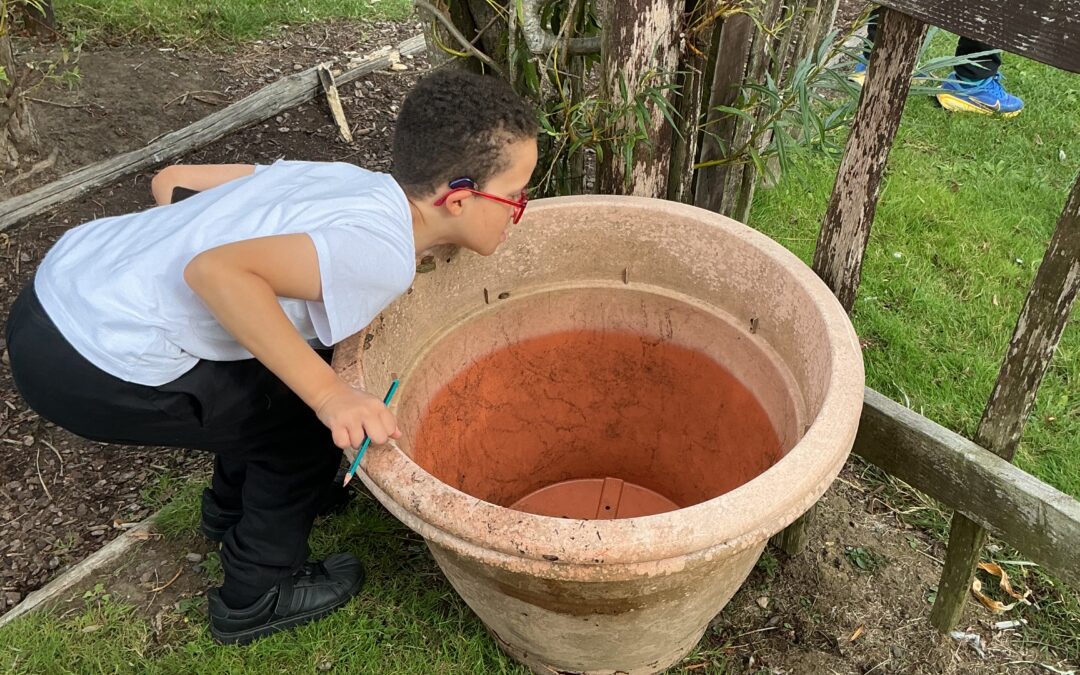 What animals and plants can I see in our local habitats?