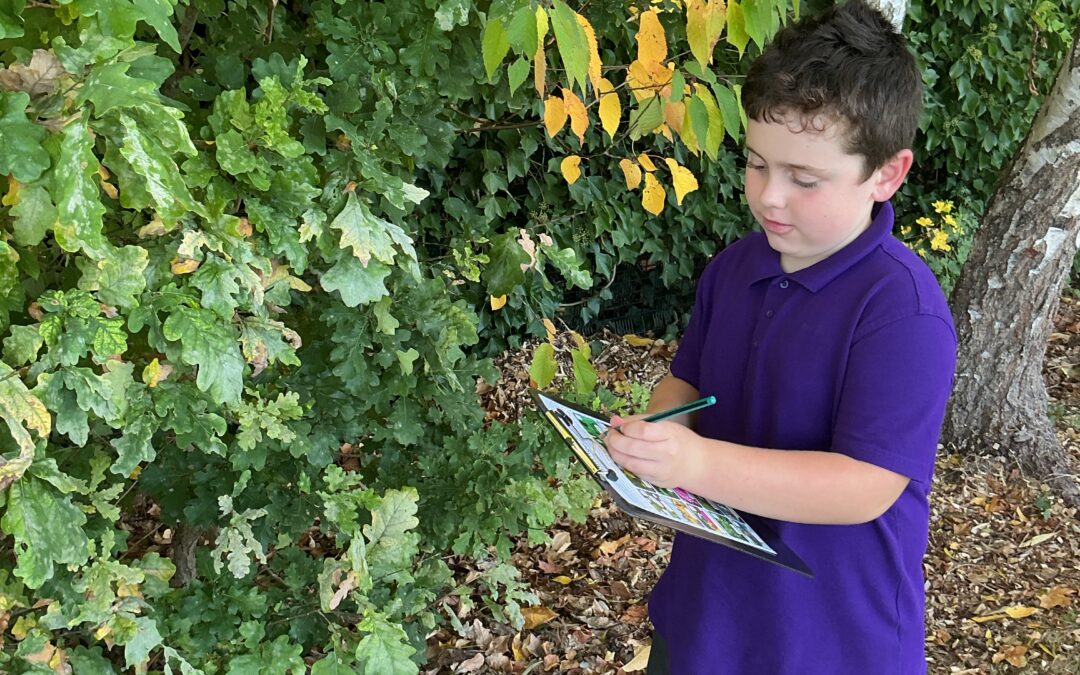 Looking at Microhabitats