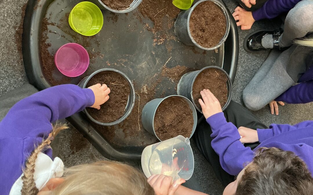 What do plants need to survive?